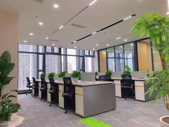 重慶正律商務信息咨詢深圳分公司 深耕信息咨詢服務，賦能企業(yè)穩(wěn)健發(fā)展